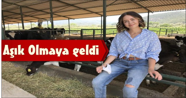 YAĞMUR ÜN “AŞIK OLMAYA GELDİ”