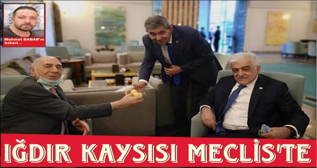 IĞDIR KAYSISINA HAYRAN KALDILAR