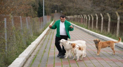 SOKAK HAYVANLARI İÇİN KONSER DÜZENLEYECEK