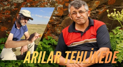 KAFKAS ARISI İÇİN ACİL ÇAĞRI