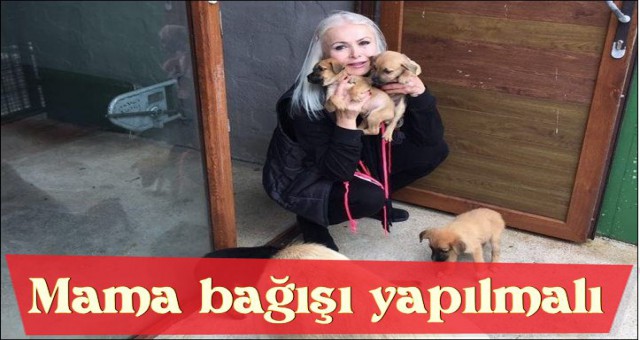 HAYVANLARA MAMA BAĞIŞLANSIN