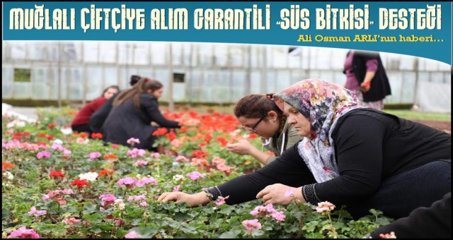 ÜRETİCİYE ALIM GARANTİSİ