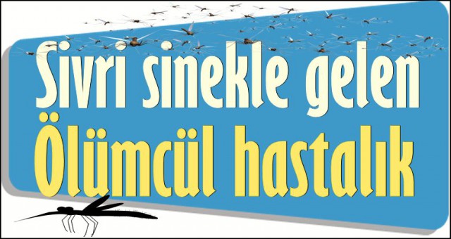 KORUNMAK İÇİN HANGİ ÖNLEMLER ALINMALI?